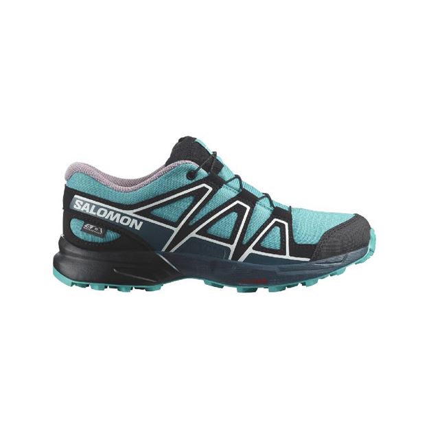 Picture of SALOMON SPEEDCROSS CSWP J Peablu/Deepdi/Bl